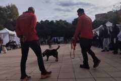 WhatsApp-Image-2025-12-22-at-09.07.06-38