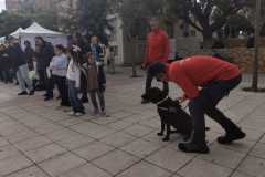 WhatsApp-Image-2025-12-22-at-09.07.06-41