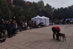 WhatsApp-Image-2025-12-22-at-09.07.06-42