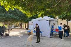 WhatsApp-Image-2025-12-22-at-09.07.06-50