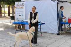 WhatsApp-Image-2025-12-22-at-09.07.06-53