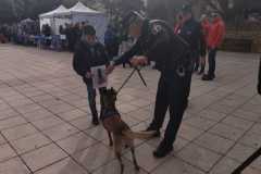 WhatsApp-Image-2025-12-22-at-09.07.06-65