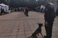 WhatsApp-Image-2025-12-22-at-09.07.06-67