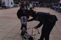 WhatsApp-Image-2025-12-22-at-09.07.06-69