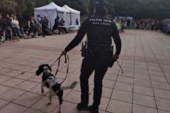 WhatsApp-Image-2025-12-22-at-09.07.06-72