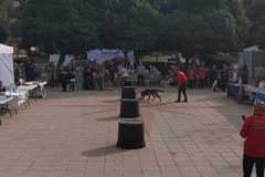 WhatsApp-Image-2025-12-22-at-09.07.06-9