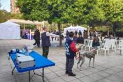 WhatsApp-Image-2025-12-22-at-09.09.13-10