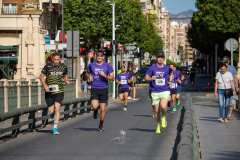 Carrera-contra-cancer-pancreas-Elche-2026-Fotoillice_0146