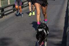 Carrera-contra-cancer-pancreas-Elche-2026-Fotoillice_0185