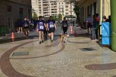 Elche-Carrera-contra-cancer-pancreas-2026_0235