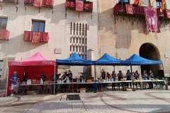 Elche-Carrera-contra-cancer-pancreas-2026_0435