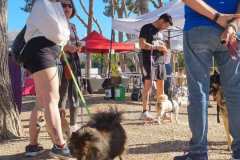 Feria-Mascotas-Canicross-Mutxamel-2026_0017