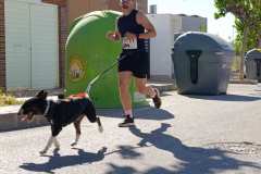 Feria-Mascotas-Canicross-Mutxamel-2026_0031