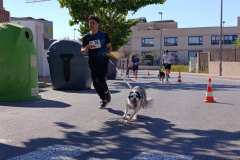 Feria-Mascotas-Canicross-Mutxamel-2026_0035