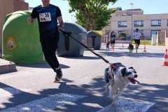 Feria-Mascotas-Canicross-Mutxamel-2026_0036