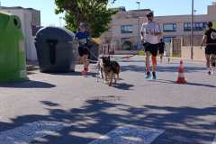 Feria-Mascotas-Canicross-Mutxamel-2026_0038