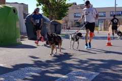 Feria-Mascotas-Canicross-Mutxamel-2026_0039