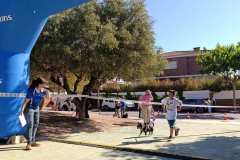 Feria-Mascotas-Canicross-Mutxamel-2026_0045