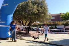 Feria-Mascotas-Canicross-Mutxamel-2026_0046