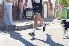 Feria-Mascotas-Canicross-Mutxamel-2026_0059