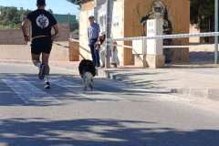Feria-Mascotas-Canicross-Mutxamel-2026_0060