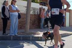 Feria-Mascotas-Canicross-Mutxamel-2026_0061
