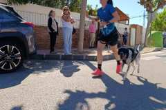 Feria-Mascotas-Canicross-Mutxamel-2026_0065
