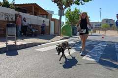 Feria-Mascotas-Canicross-Mutxamel-2026_0071