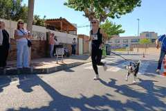 Feria-Mascotas-Canicross-Mutxamel-2026_0073