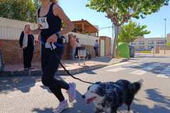 Feria-Mascotas-Canicross-Mutxamel-2026_0074