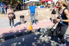 Feria-Mascotas-Canicross-Mutxamel-2026_0075