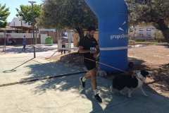 Feria-Mascotas-Canicross-Mutxamel-2026_0084