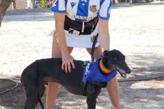 Feria-Mascotas-Canicross-Mutxamel-2026_0096