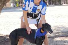 Feria-Mascotas-Canicross-Mutxamel-2026_0097