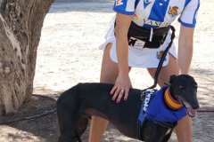 Feria-Mascotas-Canicross-Mutxamel-2026_0098