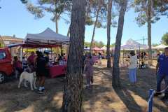 Feria-Mascotas-Canicross-Mutxamel-2026_0115