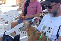 Feria-Mascotas-Canicross-Mutxamel-2026_0121