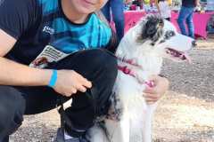Feria-Mascotas-Canicross-Mutxamel-2026_0135