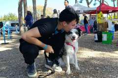 Feria-Mascotas-Canicross-Mutxamel-2026_0137
