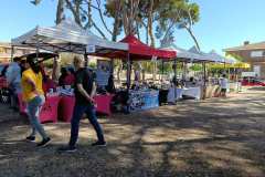 Feria-Mascotas-Canicross-Mutxamel-2026_0138