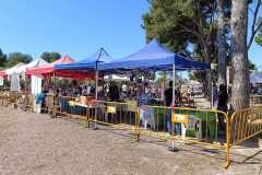 Feria-Mascotas-Canicross-Mutxamel-2026_0155
