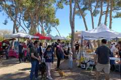Feria-Mascotas-Canicross-Mutxamel-2026_0178