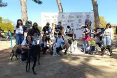 Feria-Mascotas-Canicross-Mutxamel-2026_0202