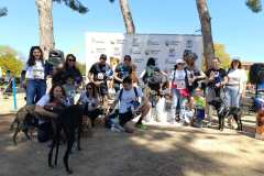 Feria-Mascotas-Canicross-Mutxamel-2026_0203