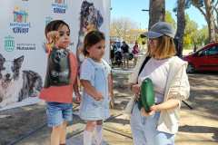 Feria-Mascotas-Canicross-Mutxamel-2026_0206