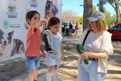 Feria-Mascotas-Canicross-Mutxamel-2026_0207