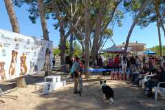 Feria-Mascotas-Canicross-Mutxamel-2026_0212