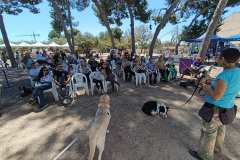 Feria-Mascotas-Canicross-Mutxamel-2026_0217