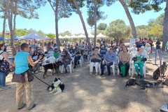 Feria-Mascotas-Canicross-Mutxamel-2026_0220