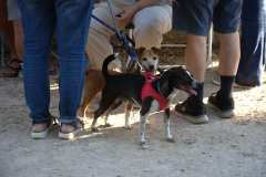 Cross-Hola-Verano-2026_20260704_182331_0067
